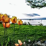 Birkhofer Geniessen - Am Bodensee Bed and Breakfast Immenstaad am Bodensee
