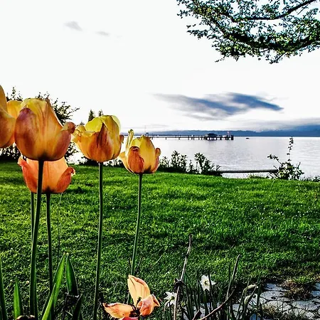 Birkhofer Geniessen - Am Bodensee Bed & Breakfast Immenstaad am Bodensee