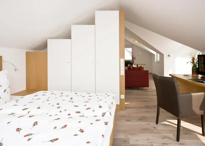 Birkhofer Geniessen - Am Bodensee 4* Имменштад-ам-Бодензее