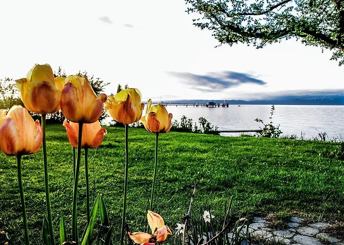 Birkhofer Geniessen - Am Bodensee לינה וארוחת בוקר אימנשטאדט אם בודנזה